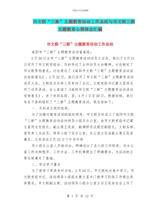 市文联“三新”主题教育活动工作总结与市文联三新主题教育心得体会汇编