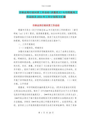 市林业局行政问责工作总结与市档案局工作总结及2024年工作计划范文汇编