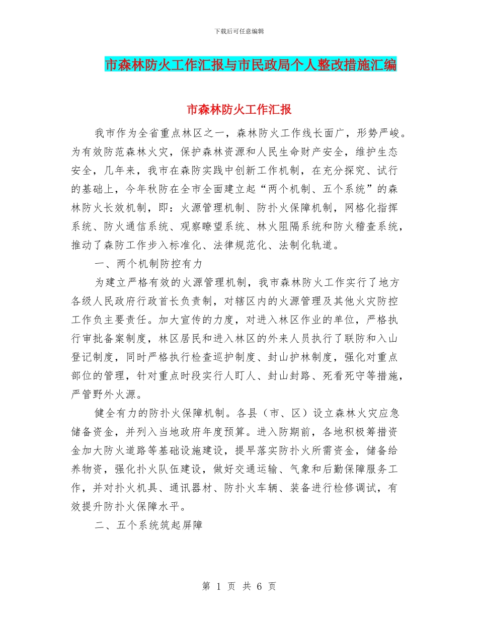 市森林防火工作汇报与市民政局个人整改措施汇编_第1页