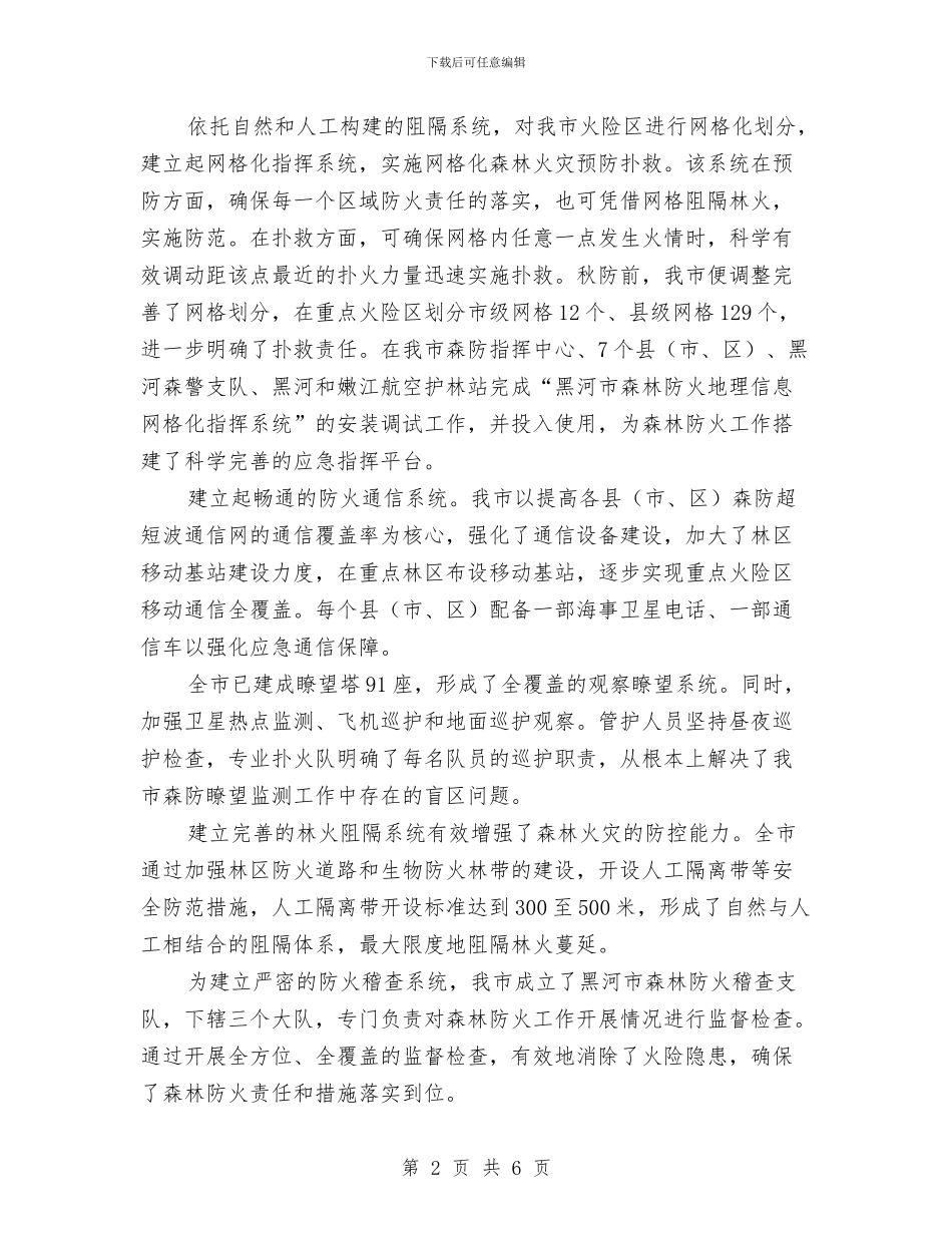 市森林防火工作汇报与市民政局个人整改措施汇编_第2页