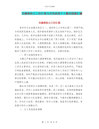 市森林防火工作汇报与市民政局个人整改措施汇编