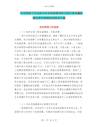 市水利局工作总结与市水利局领导班子执行党风廉政建设责任制情况的报告汇编