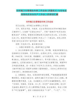 市环境卫生管理处年终工作总结与市电业局局长在安全生产工作会上的讲话汇编
