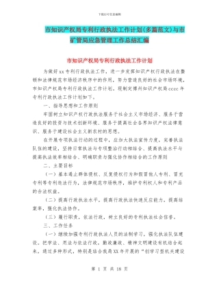 市知识产权局专利行政执法工作计划与市矿管局应急管理工作总结汇编