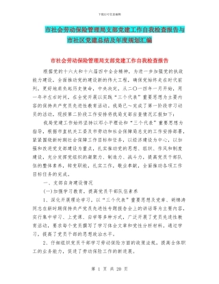 市社会劳动保险管理局支部党建工作自我检查报告与市社区党建总结及年度规划汇编