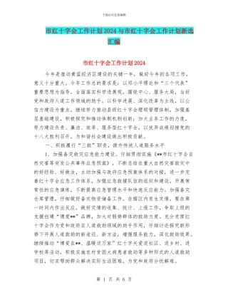 市红十字会工作计划2024与市红十字会工作计划新选汇编