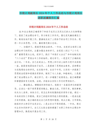市统计局副局长2024年个人工作总结与市统计局局长述职述廉报告汇编