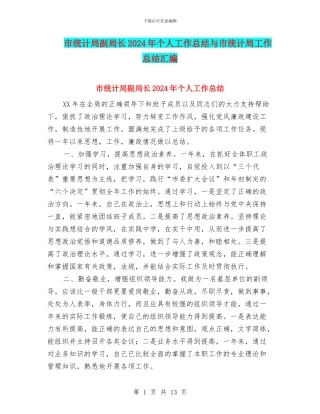 市统计局副局长2024年个人工作总结与市统计局工作总结汇编