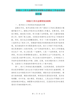 市统计工作大会领导发言材料与市续志工作会议的讲话汇编