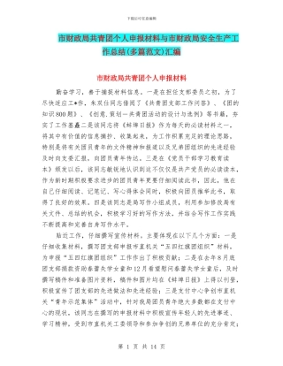 市财政局共青团个人申报材料与市财政局安全生产工作总结汇编