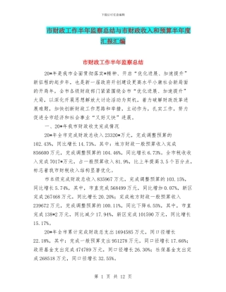 市财政工作半年监察总结与市财政收入和预算半年度汇报汇编