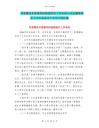 市质量技术监督局纪检组组长工作总结与市运输管理处上半年总结及下半年计划汇编