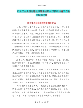 市长在企业信用建设专题会讲话与市长在传媒工作会议讲话汇编