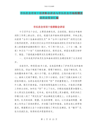 市长在全市双十佳表彰会讲话与市长在全市地税稽查动员会发言汇编