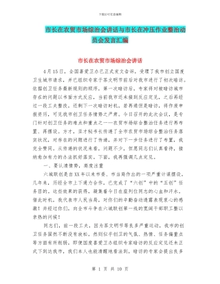 市长在农贸市场综治会讲话与市长在冲压作业整治动员会发言汇编