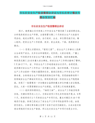 市长在安全生产检查整顿会讲话与市长在审计整改专题会发言汇编