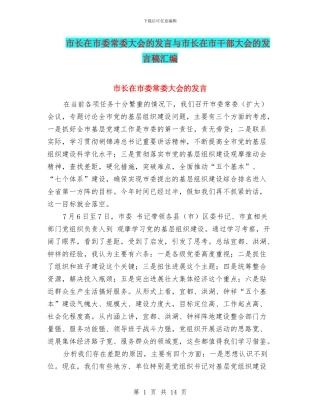 市长在市委常委大会的发言与市长在市干部大会的发言稿汇编
