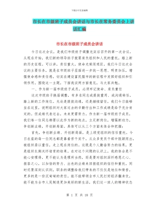 市长在市级班子成员会讲话与市长在常务委员会上讲话汇编
