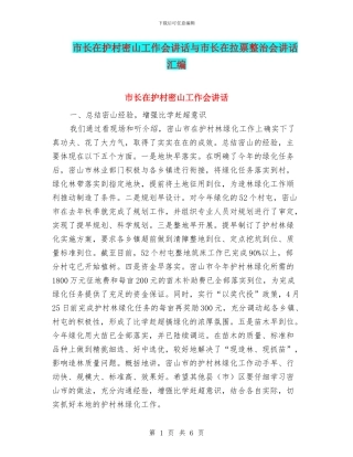 市长在护村密山工作会讲话与市长在拉票整治会讲话汇编