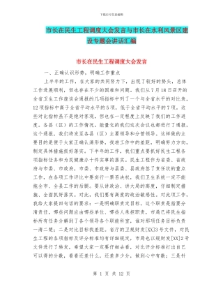 市长在民生工程调度大会发言与市长在水利风景区建设专题会讲话汇编