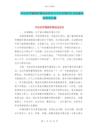 市长在环境保护推进会发言与市长在现代化目标建设会发言汇编