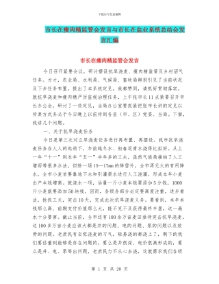 市长在瘦肉精监管会发言与市长在盐业系统总结会发言汇编