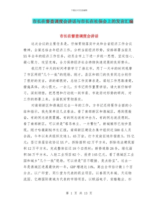 市长在督查调度会讲话与市长在社保会上的发言汇编