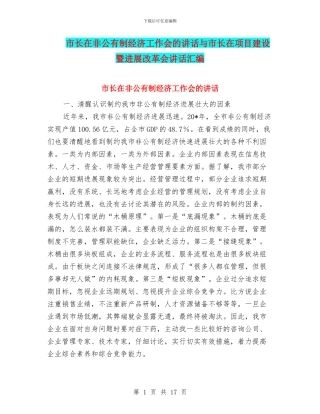 市长在非公有制经济工作会的讲话与市长在项目建设暨发展改革会讲话汇编