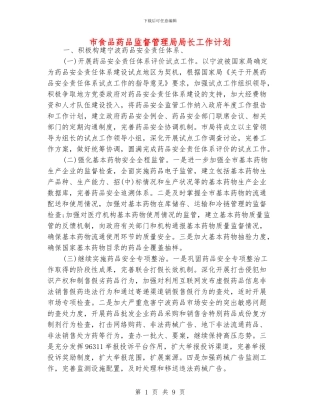 市食品药品监督管理局局长工作计划