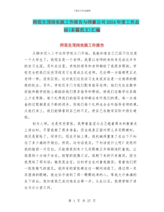 师范生顶岗实践工作报告与师豪公司2024年度工作总结汇编