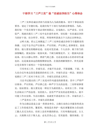 干部学习“三严三实”做“忠诚干净担当”心得体会