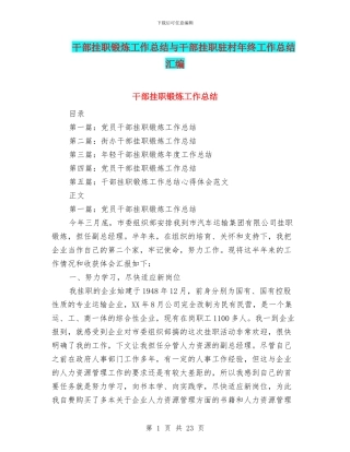 干部挂职锻炼工作总结与干部挂职驻村年终工作总结汇编