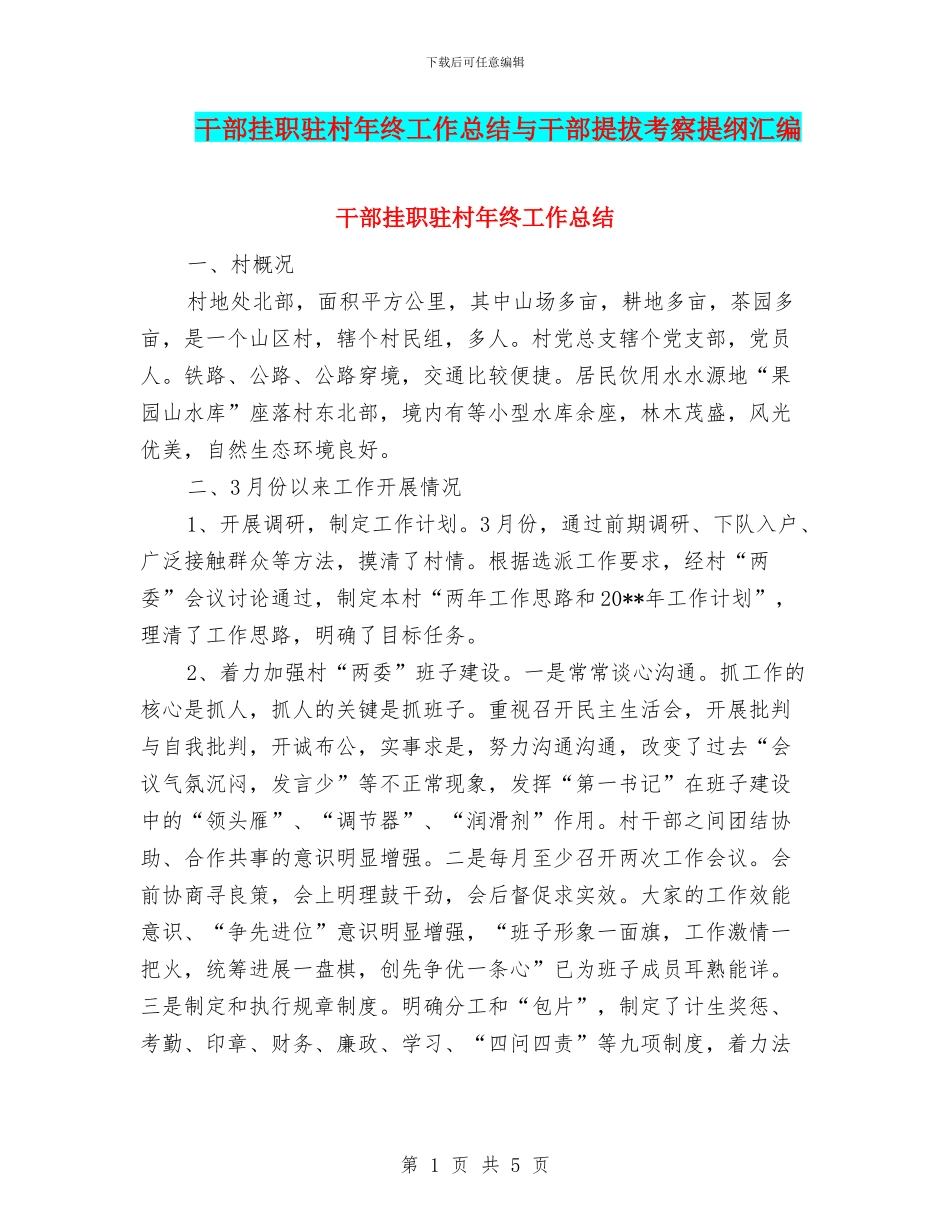 干部挂职驻村年终工作总结与干部提拔考察提纲汇编_第1页