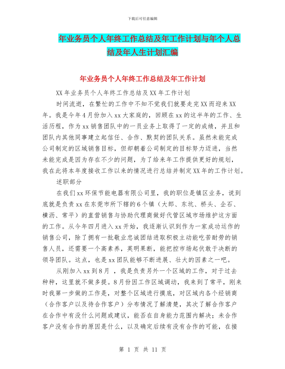 年业务员个人年终工作总结及年工作计划与年个人总结及年人生计划汇编_第1页