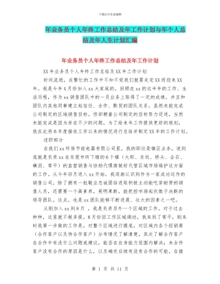 年业务员个人年终工作总结及年工作计划与年个人总结及年人生计划汇编