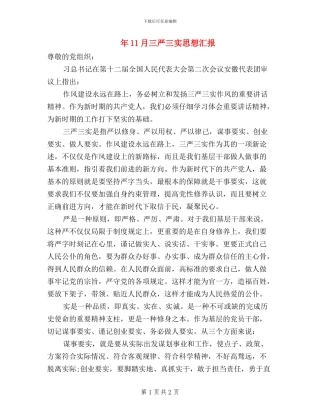 年11月三严三实思想汇报