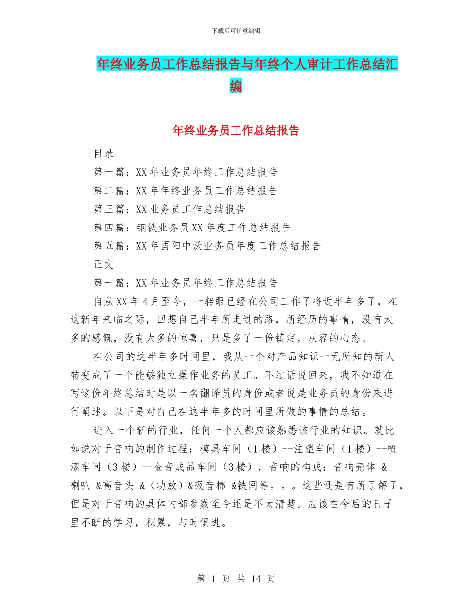 年终业务员工作总结报告与年终个人审计工作总结汇编_第1页