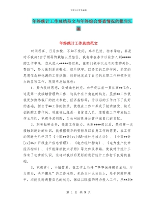年终统计工作总结范文与年终综合督查情况的报告汇编