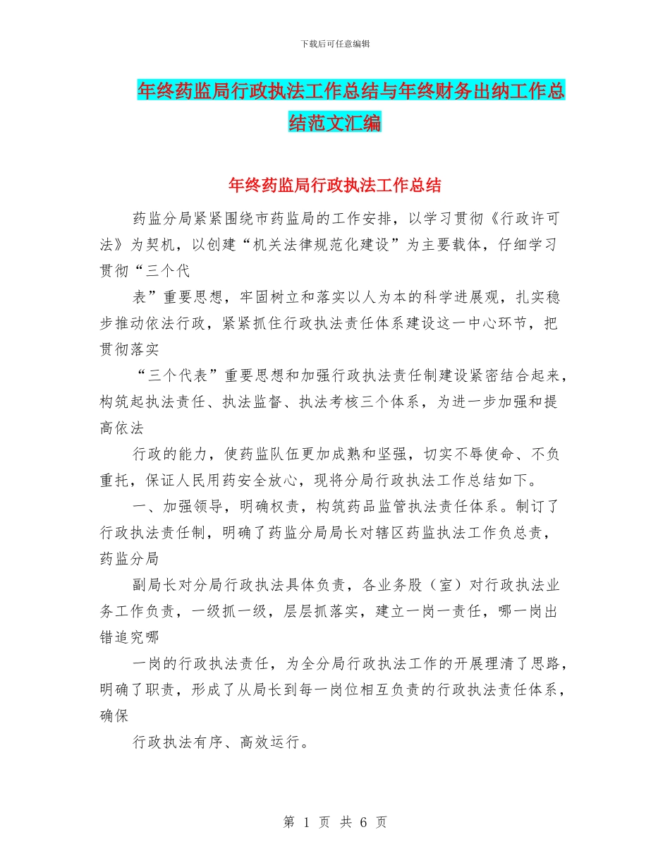 年终药监局行政执法工作总结与年终财务出纳工作总结范文汇编_第1页