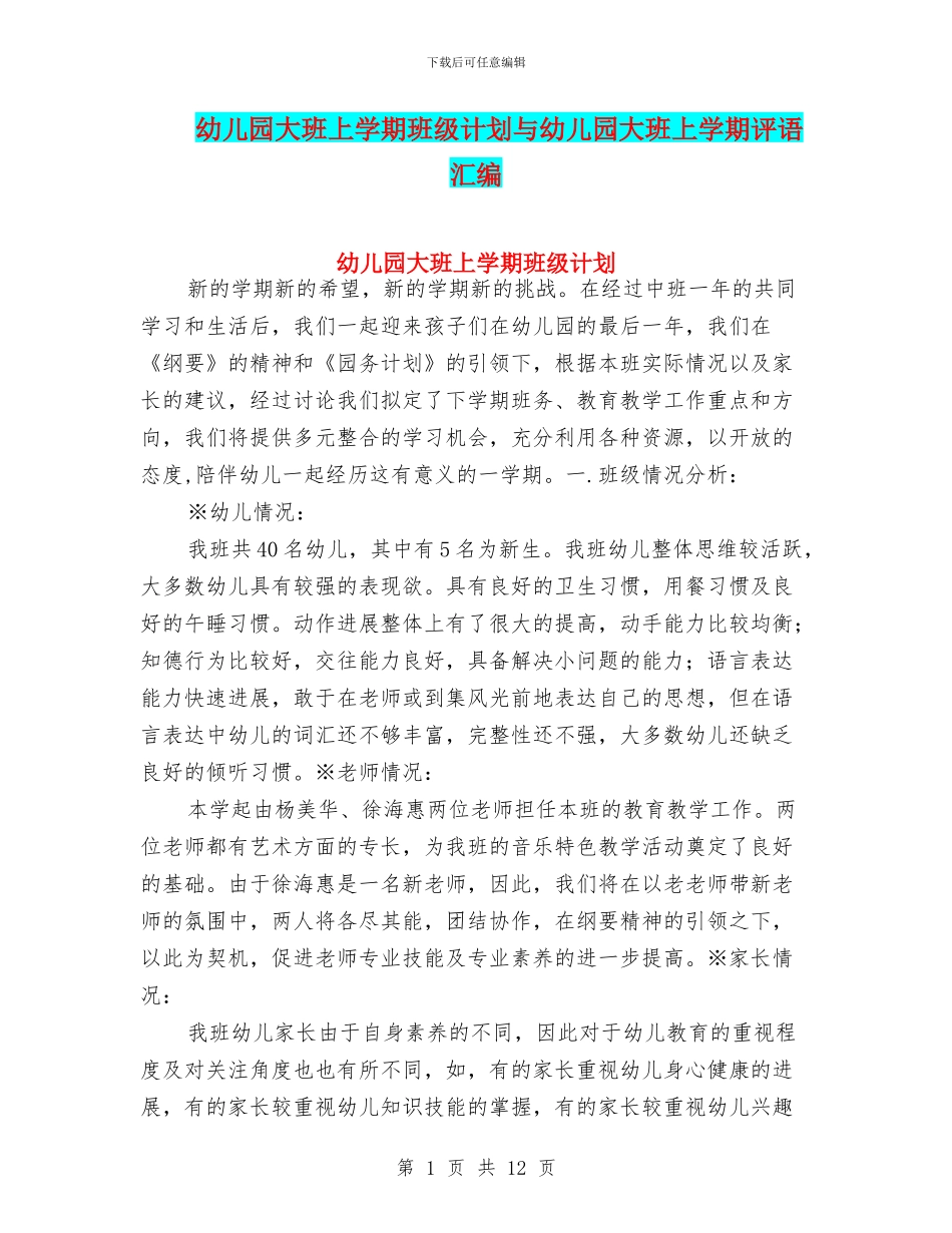 幼儿园大班上学期班级计划与幼儿园大班上学期评语汇编_第1页