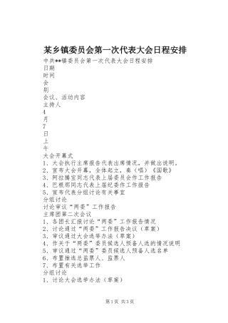 某乡镇委员会第一次代表大会日程安排