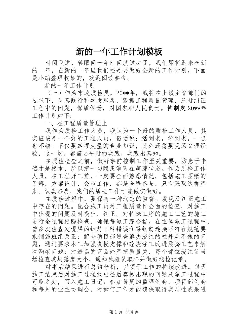 新的一年工作计划模板_第1页