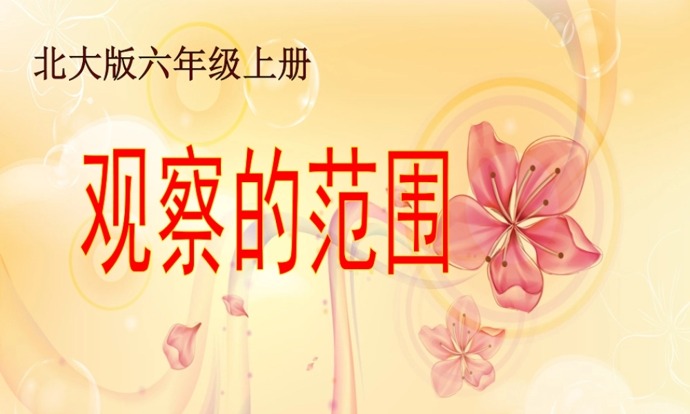 北师大版数学六年级上册《观察的范围》2课件 (2)
