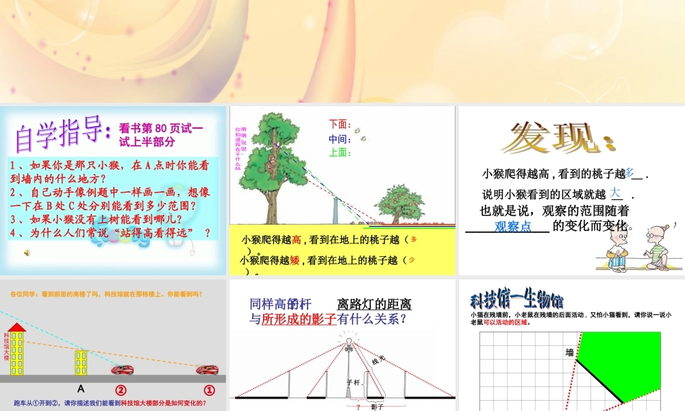 北师大版数学六年级上册《观察的范围》2课件 (2)