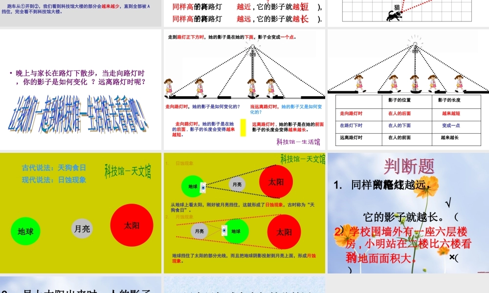 北师大版数学六年级上册《观察的范围》2课件 (2)