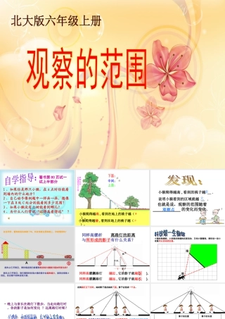 北师大版数学六年级上册《观察的范围》2课件 (2)