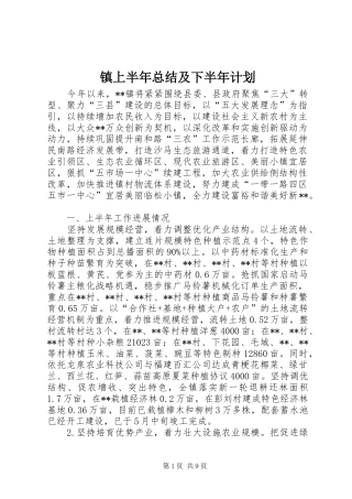 镇上半年总结及下半年计划