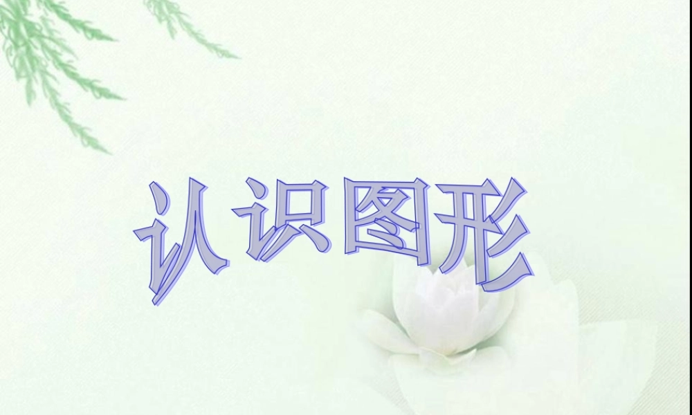 认识图形课件