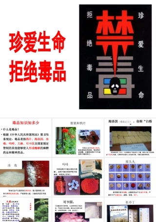 小学生珍爱生命、拒绝毒品完整版PPT(1)