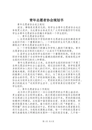青年志愿者协会规划书